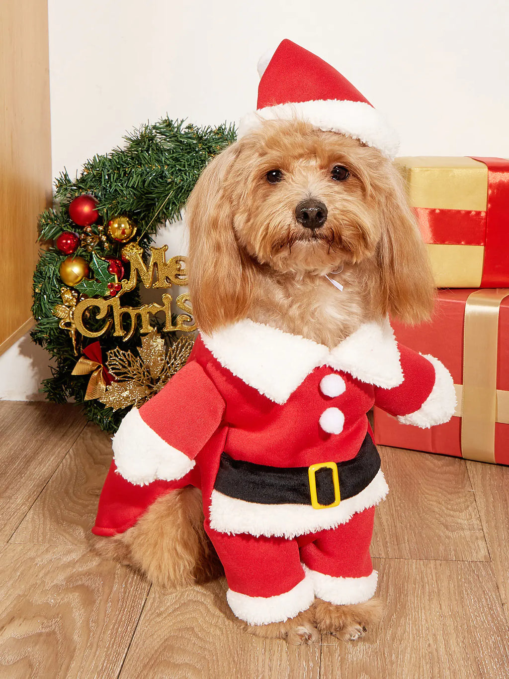 Christmas Costume for Small Dogs